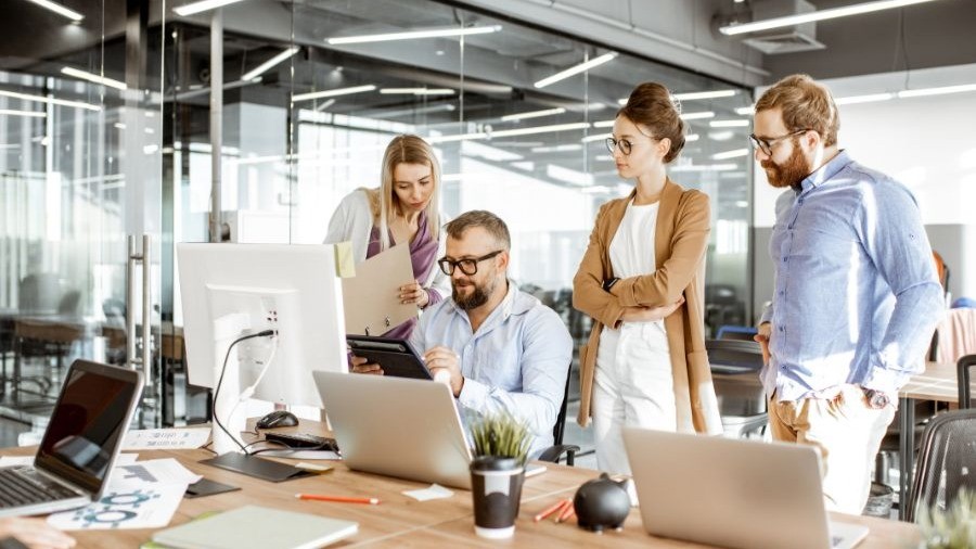 Local Ranking Support for New York Small Businesses
