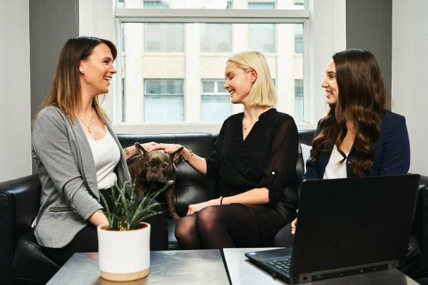 Professional SEO Services for Canadian Companies