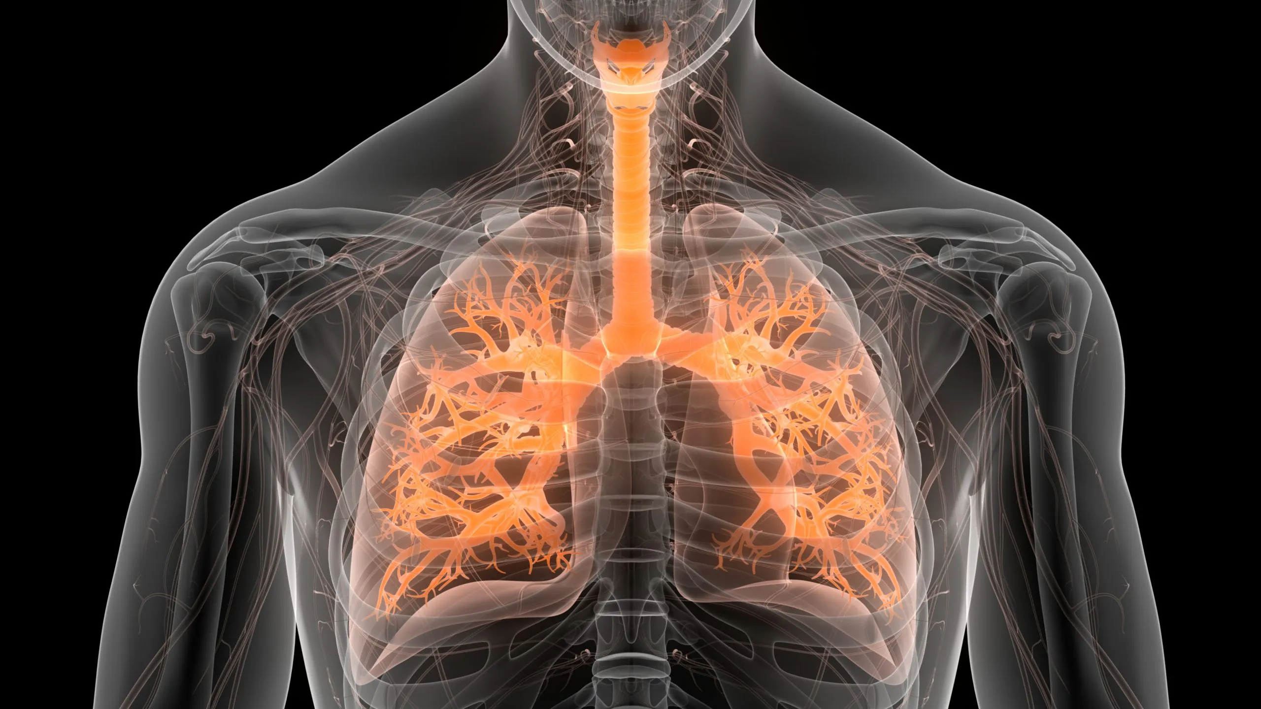 Pulmonary Fibrosis Symptoms – Scarred Lungs And Dry Cough